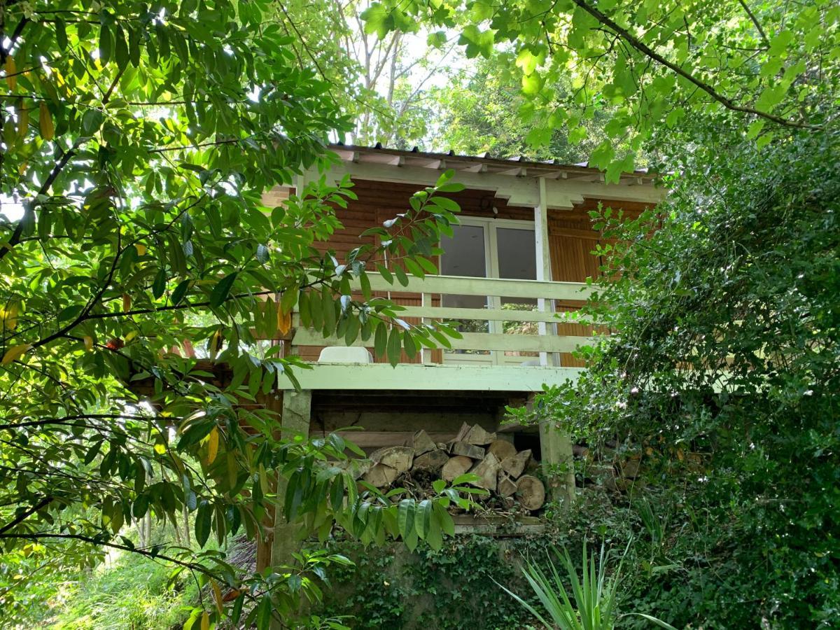 Chalet En Bord De Seine Le Coudray-Montceaux Exterior foto